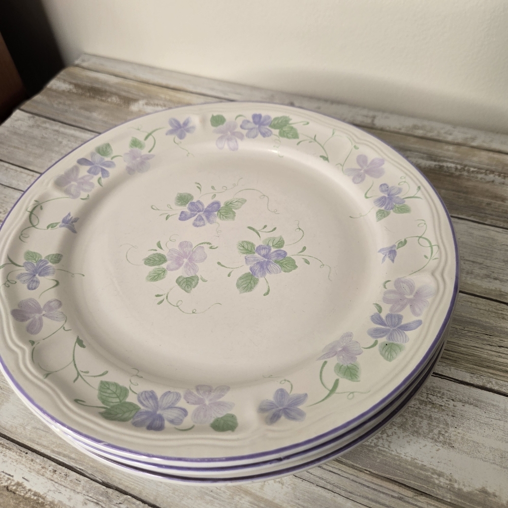Set Of 4 Newcor Stoneware Dinner Plates